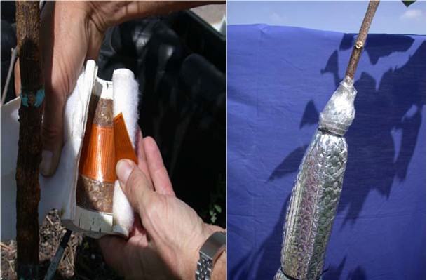 1529479181602103.png 8.png