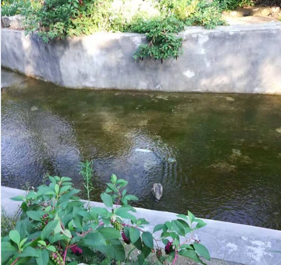 圖片關(guān)鍵詞