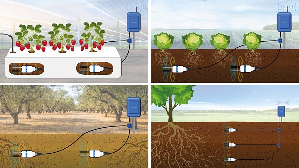 圖片關(guān)鍵詞