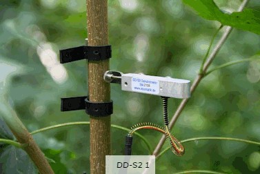 直徑生長測量儀 直徑生長測量儀