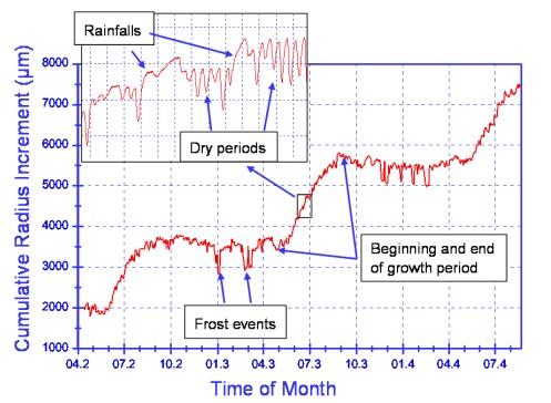 1728377632817628.png 122.png