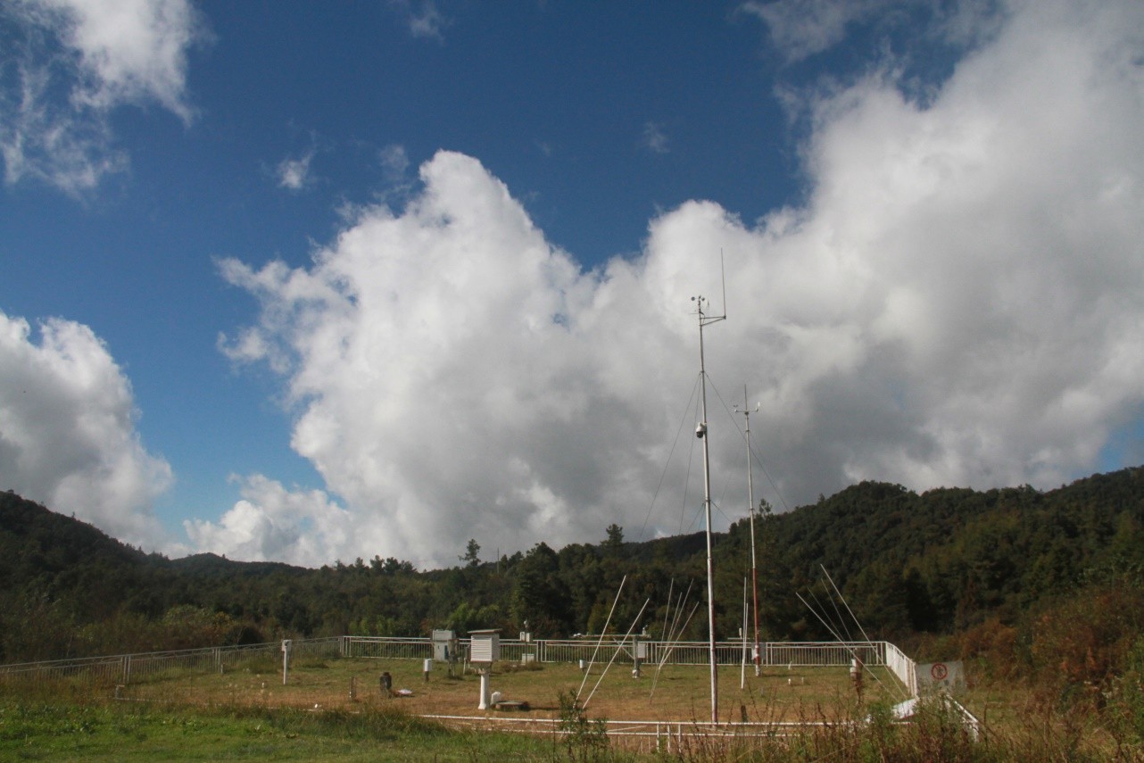 森林氣象觀測