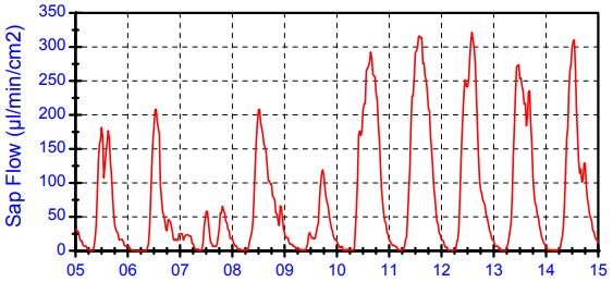 插針莖流監(jiān)測(cè)
