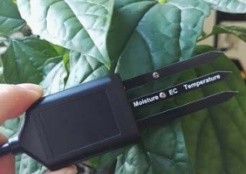 土壤水分溫度電導(dǎo)率傳感器