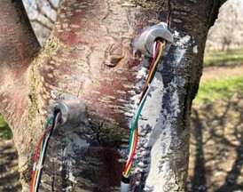 圖片關(guān)鍵詞