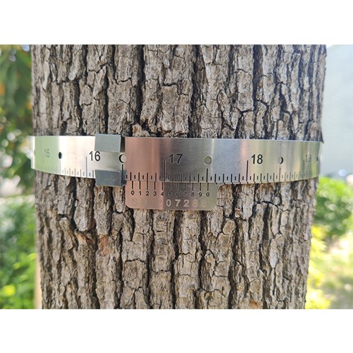  樹木胸徑生長(zhǎng)測(cè)量環(huán)